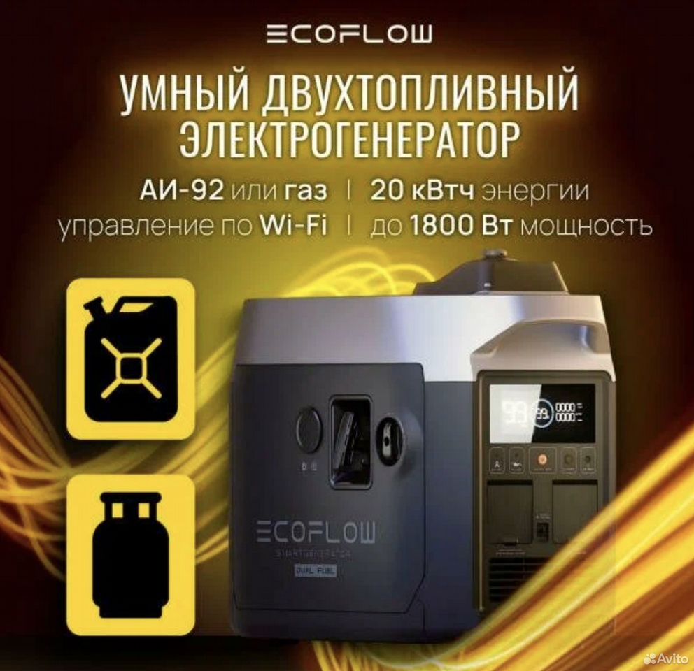 Двухтопливный умный генератор EcoFlow - фото 3